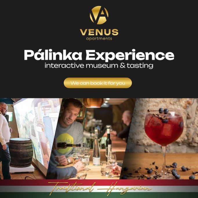 Venus - Parliament I Apartment Budapest